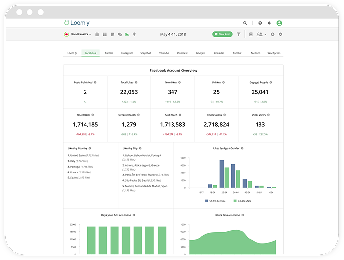 Loomly Advanced Analytics